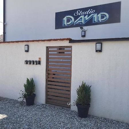 *Studio David* Sibiu Exterior foto